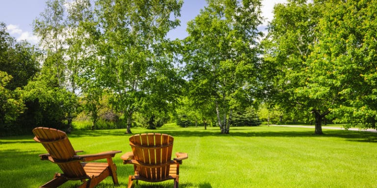image of lawn chairs in field with trees