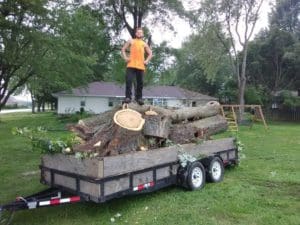 man standing on trailer full of logs