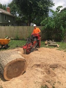 stump grinding