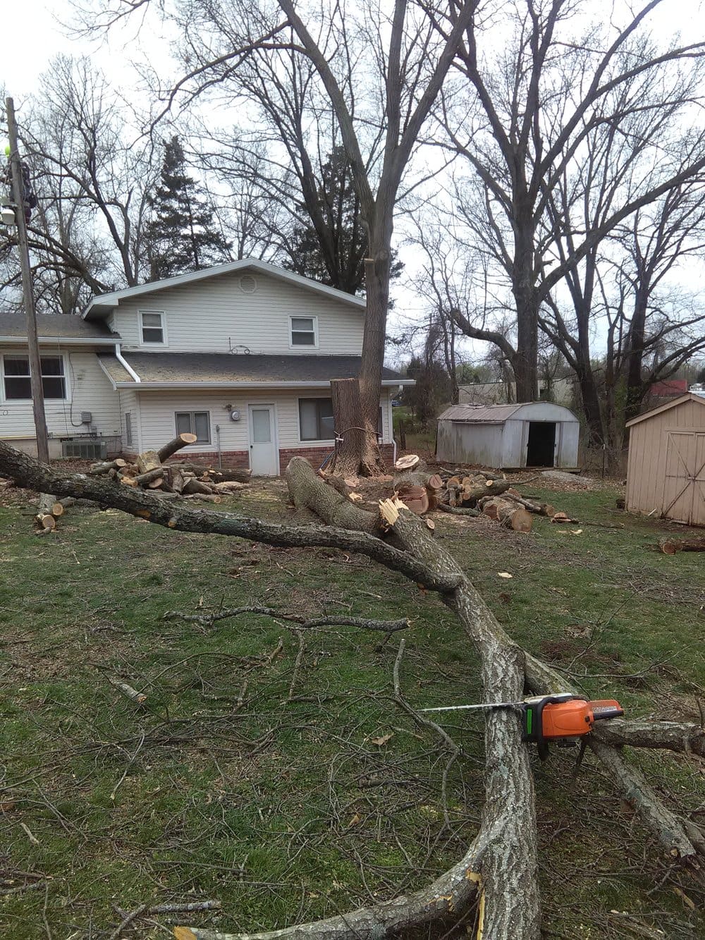 attachment-5bf5c5c98a922d05d202dd24 tree laying behind house