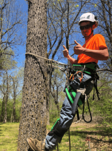 employee climbing tree