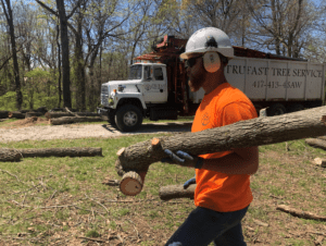 employee carrying tree debris
