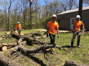 removing debris