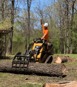 removing a tree log