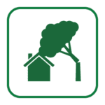emergency tree service icon