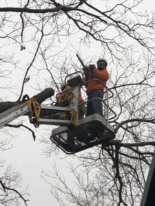 man in bucket with chainsaw