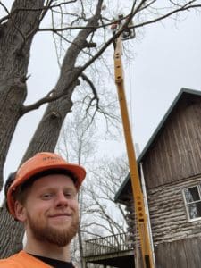 tall bucket in use for tree removal