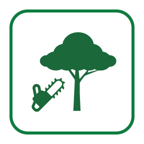 Tree Removal Icon 4.22.2020