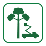 Tree Trimming