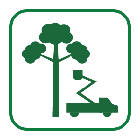 Tree Trimming