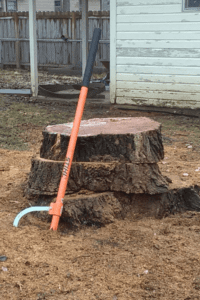 tree stump with log tool