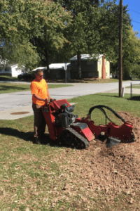 stump grinder in use
