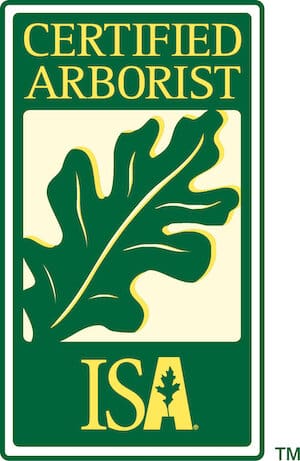 certified arborist