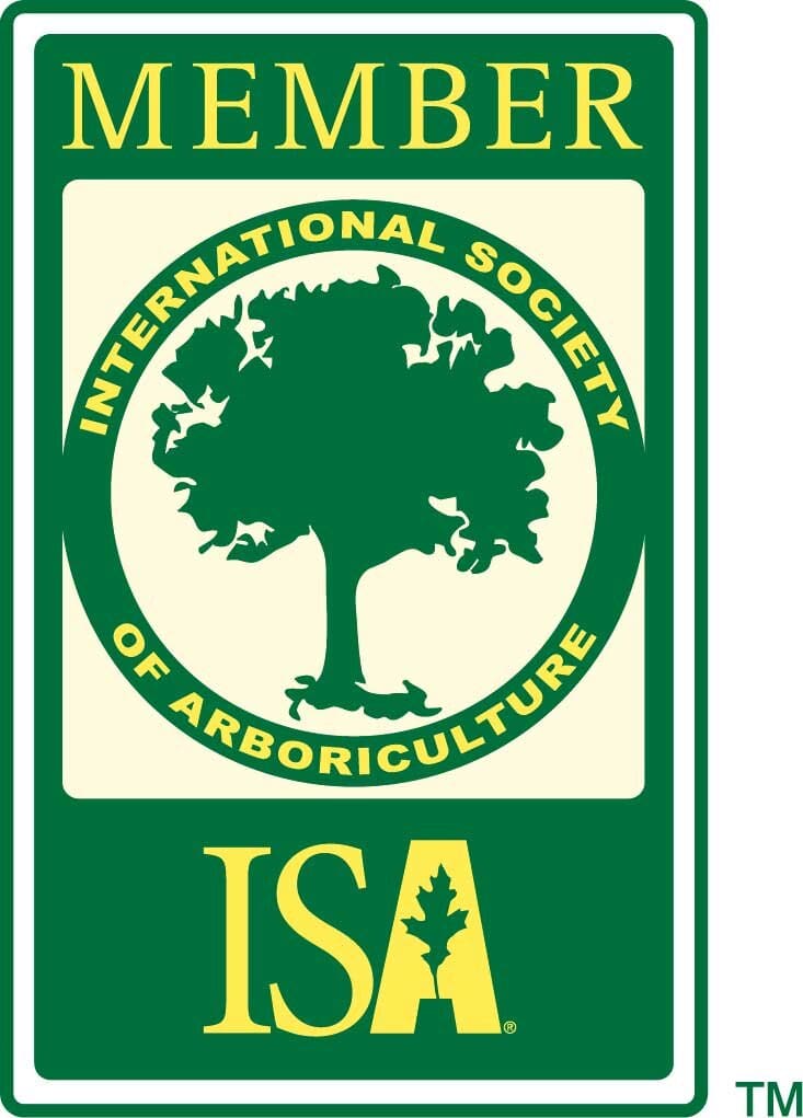 isa