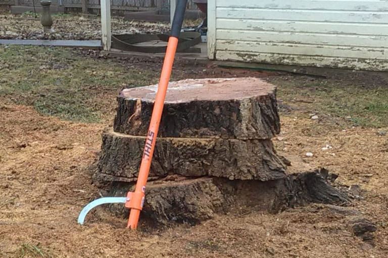 Stump in a yard surrounded by sawdust with an orange cant hook leaning on it.