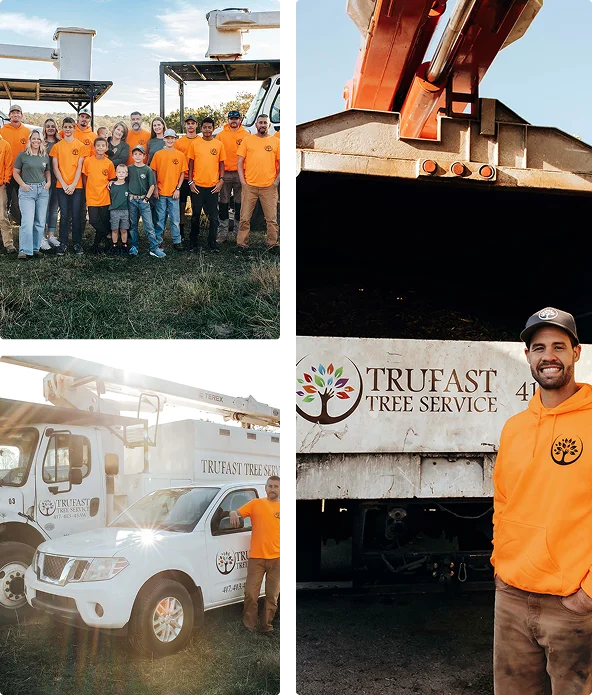 Trufast Tree Service gallery 5