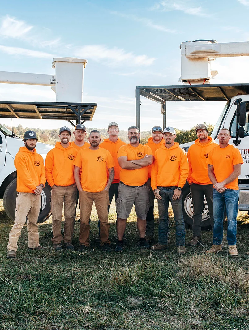 Trufast Tree Service gallery 8