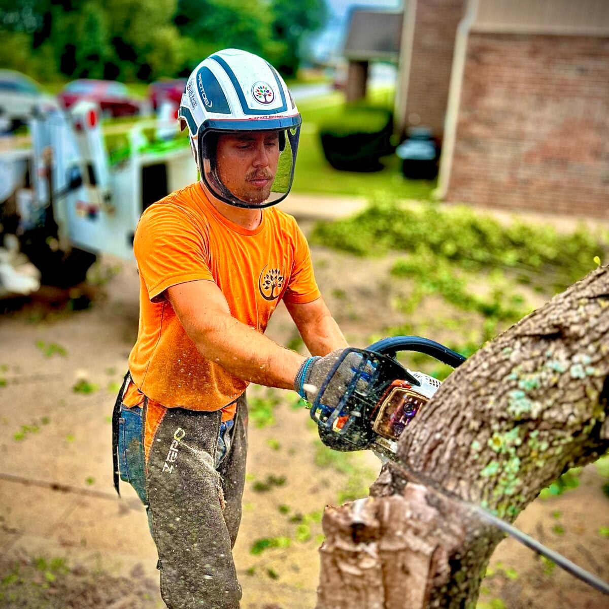 Arborist in a helmet and face shield cutting a tree limb with a chainsaw.