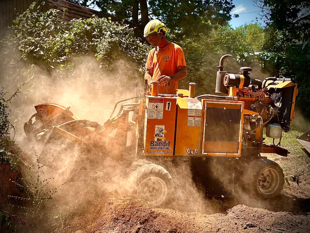 Crew member running large stump grinder, dusty