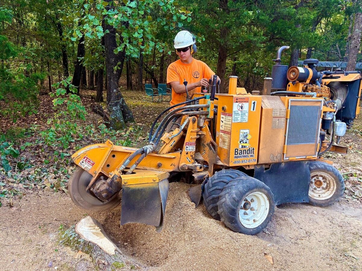 Trufast crew member running a Bandit stump grinder, the stump already ground below grade