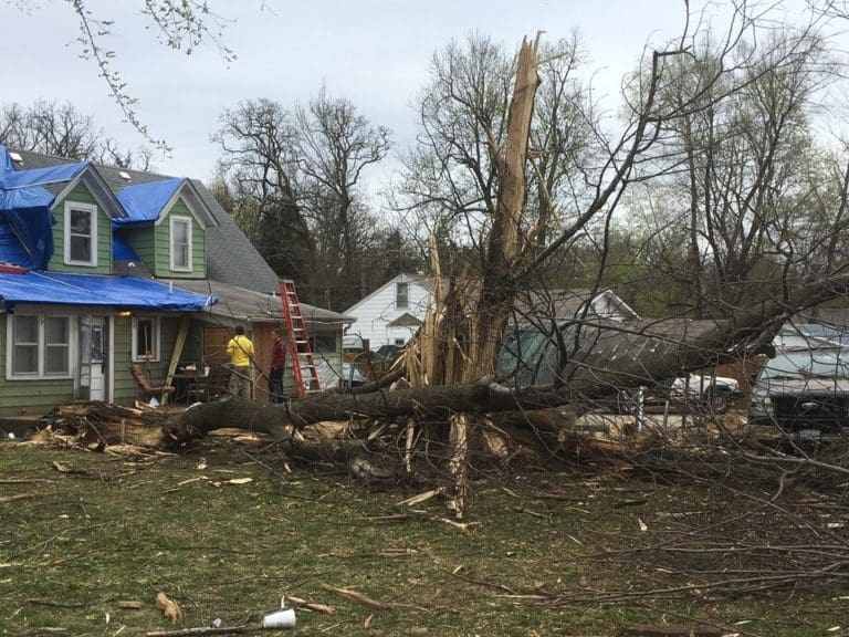 Massive splintered tree beside house with blue tarp roof, cleanup crew distant