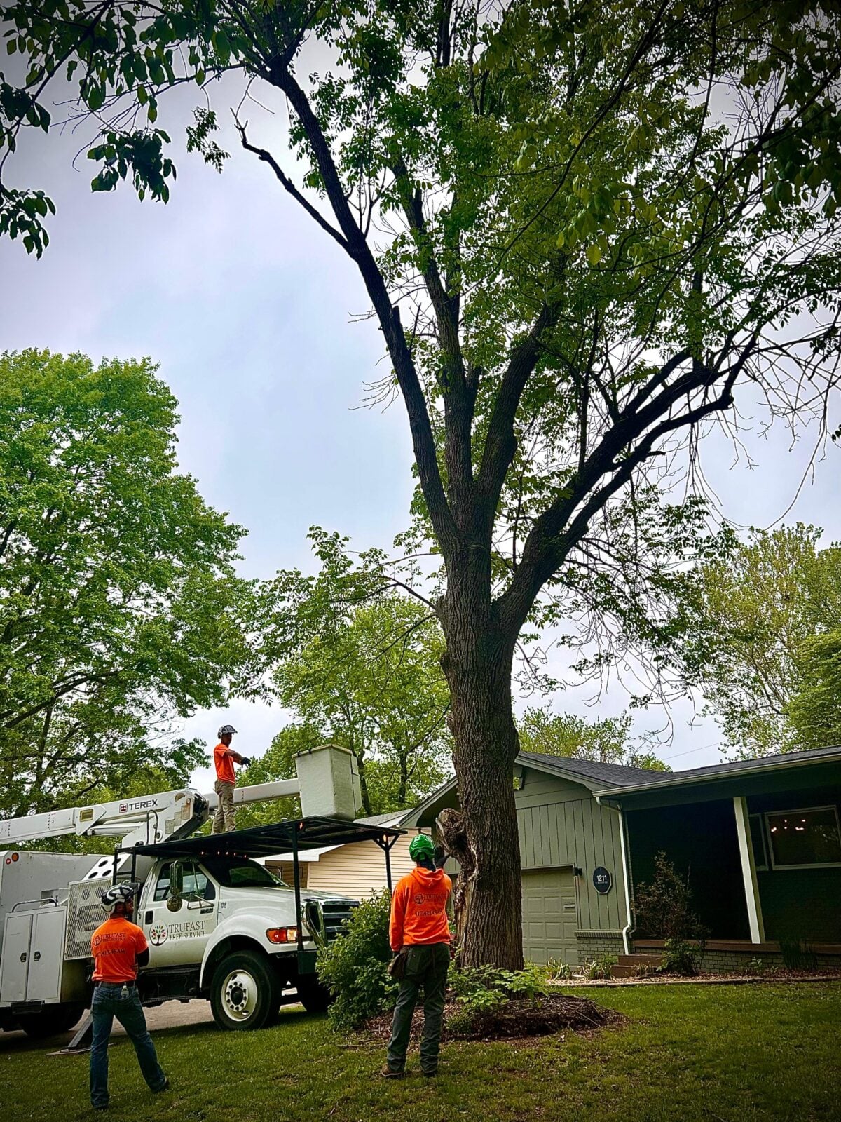 Two crew watching grapple-truck crane lift cut section, dusk