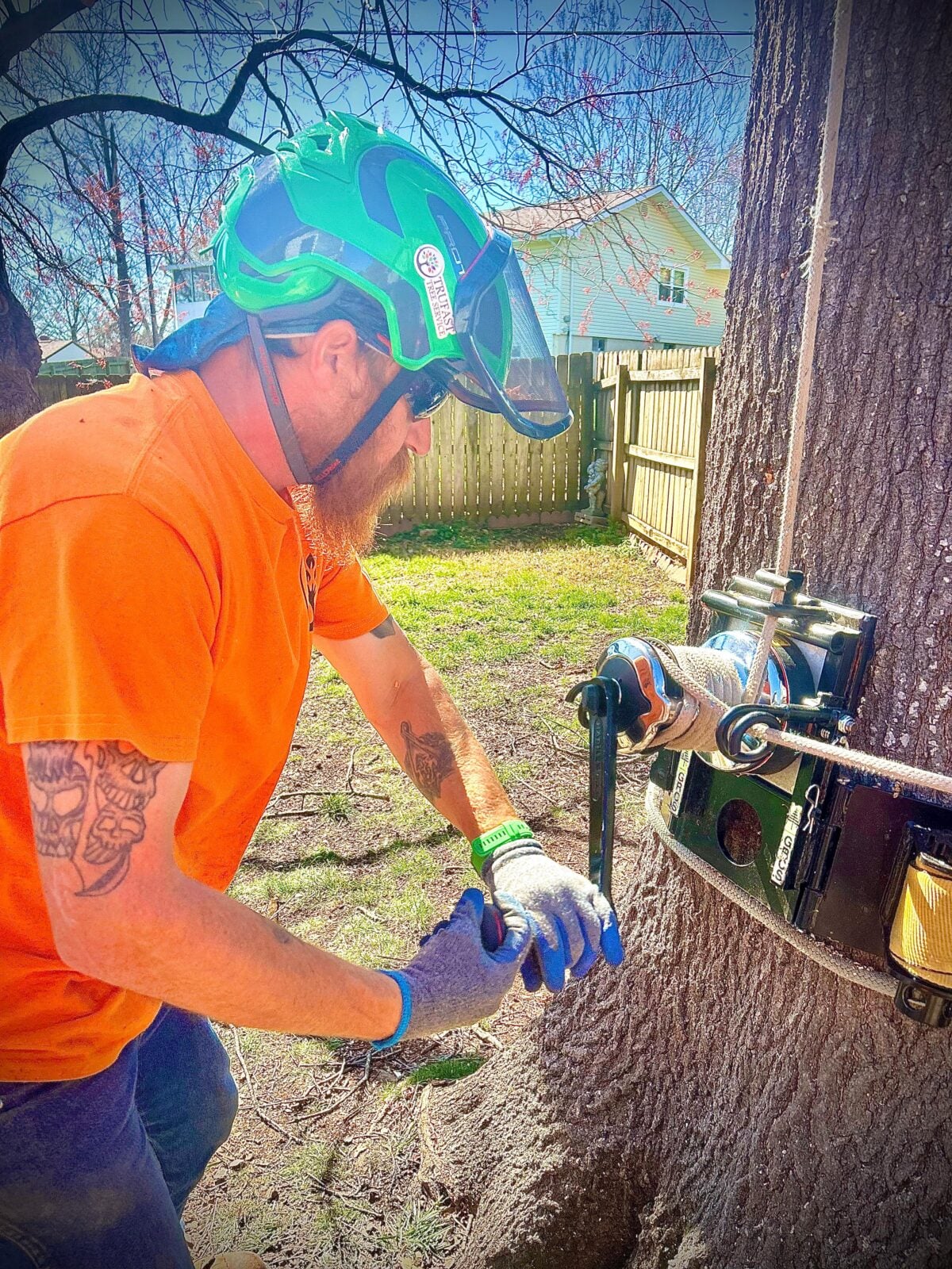 Crew member cabling/bracing tree trunk with ratchet tool