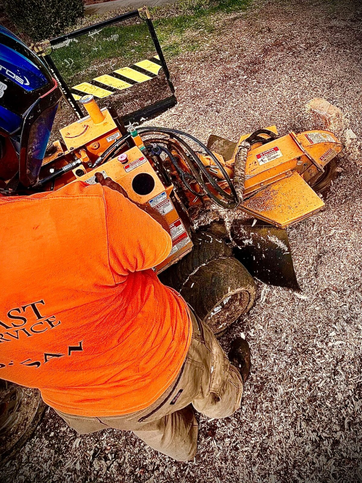 Overhead close-up stump grinder wheel cutting stump