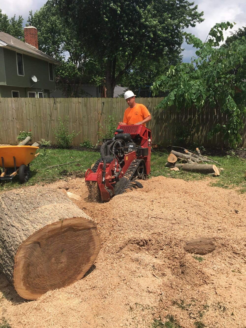Worker operating stump grinder next to cut trunk section
