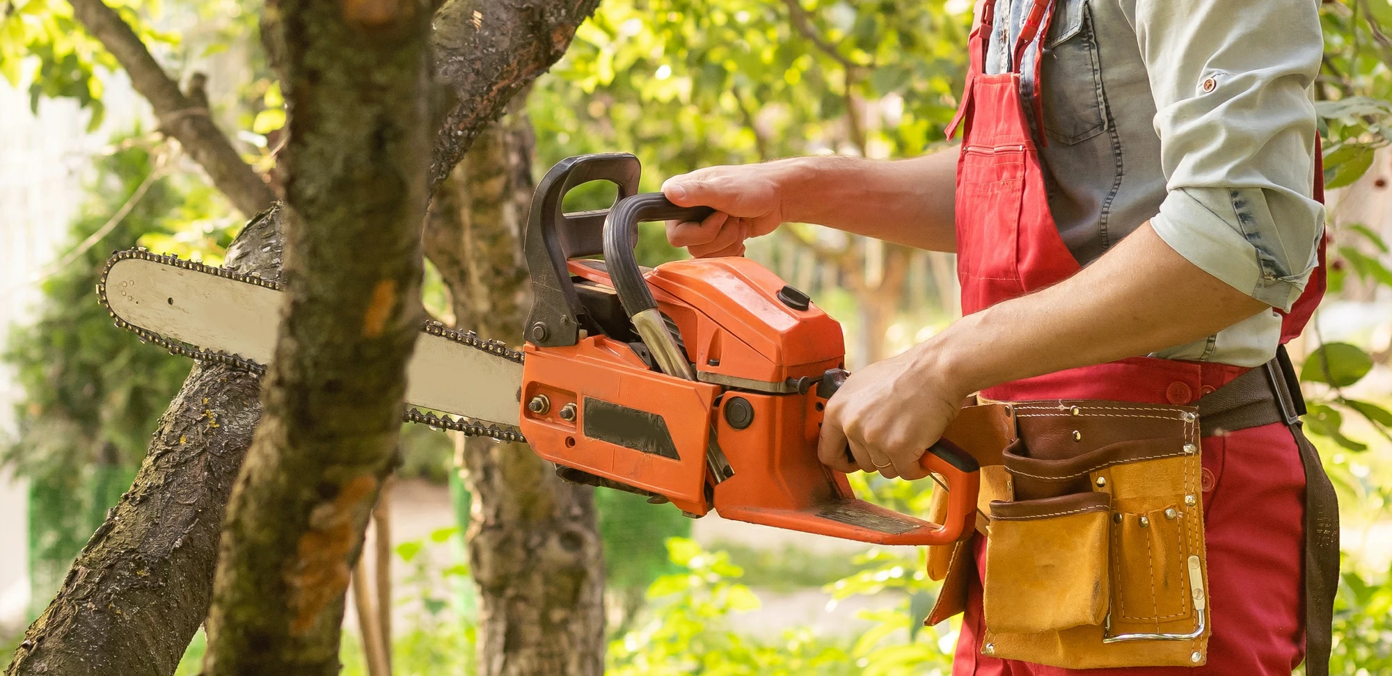 Worker in red overalls holding an orange chainsaw against a tree branch.