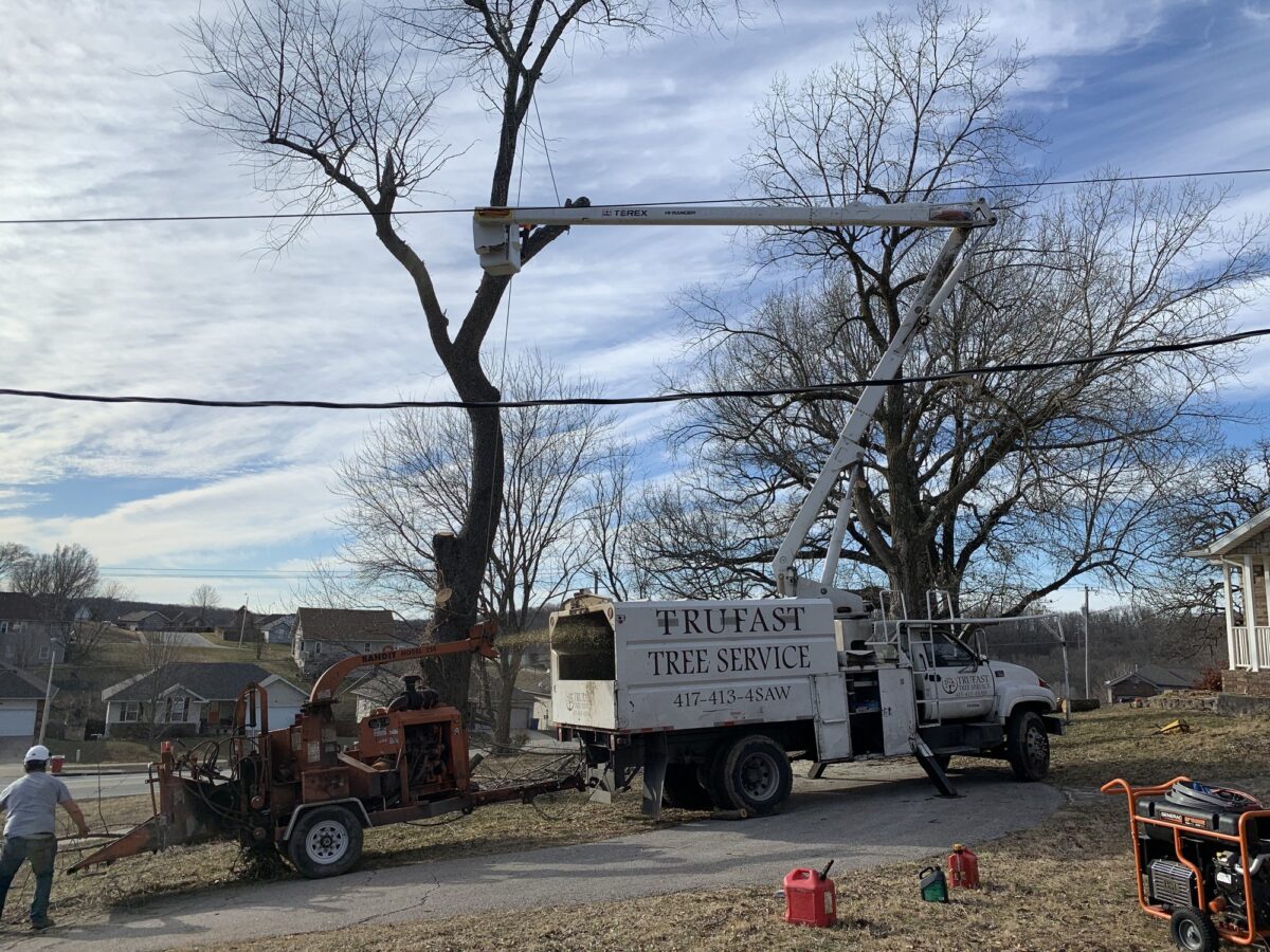 The lettered Trufast bucket truck reaching a tall bare tree near power lines, the chipper beside it and a crew member at the curb