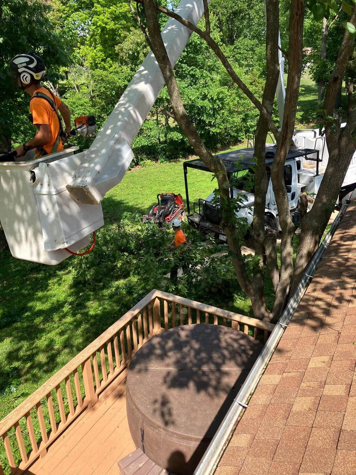Trufast climber in a bucket truck trimming a tree beside a deck and roofline while ground crew clear brush below