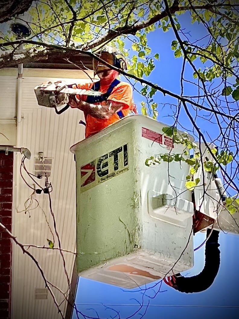 Trufast climber in a bucket truck pruning limbs back from a house's roofline.