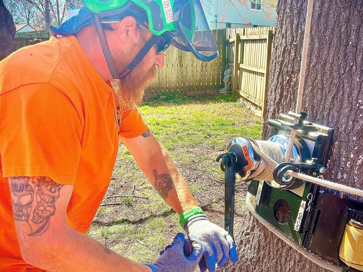 Trufast climber in a helmet and face shield running a lowering device rigged to the base of a tree