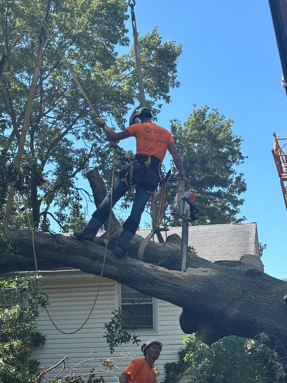 Trufast climber standing on a big trunk that fell across a house, rigging it for a crane pick