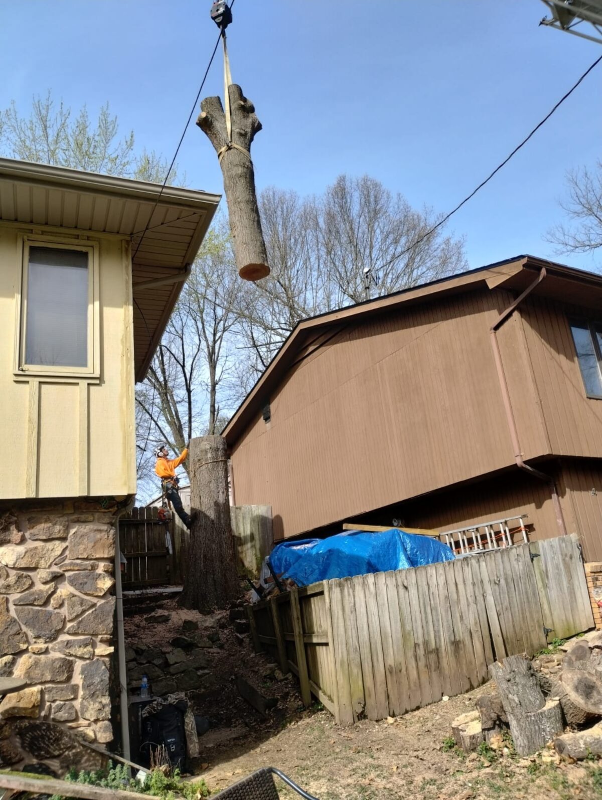 A crane lifting a cut trunk section out from between two houses while a Trufast climber works the stub below