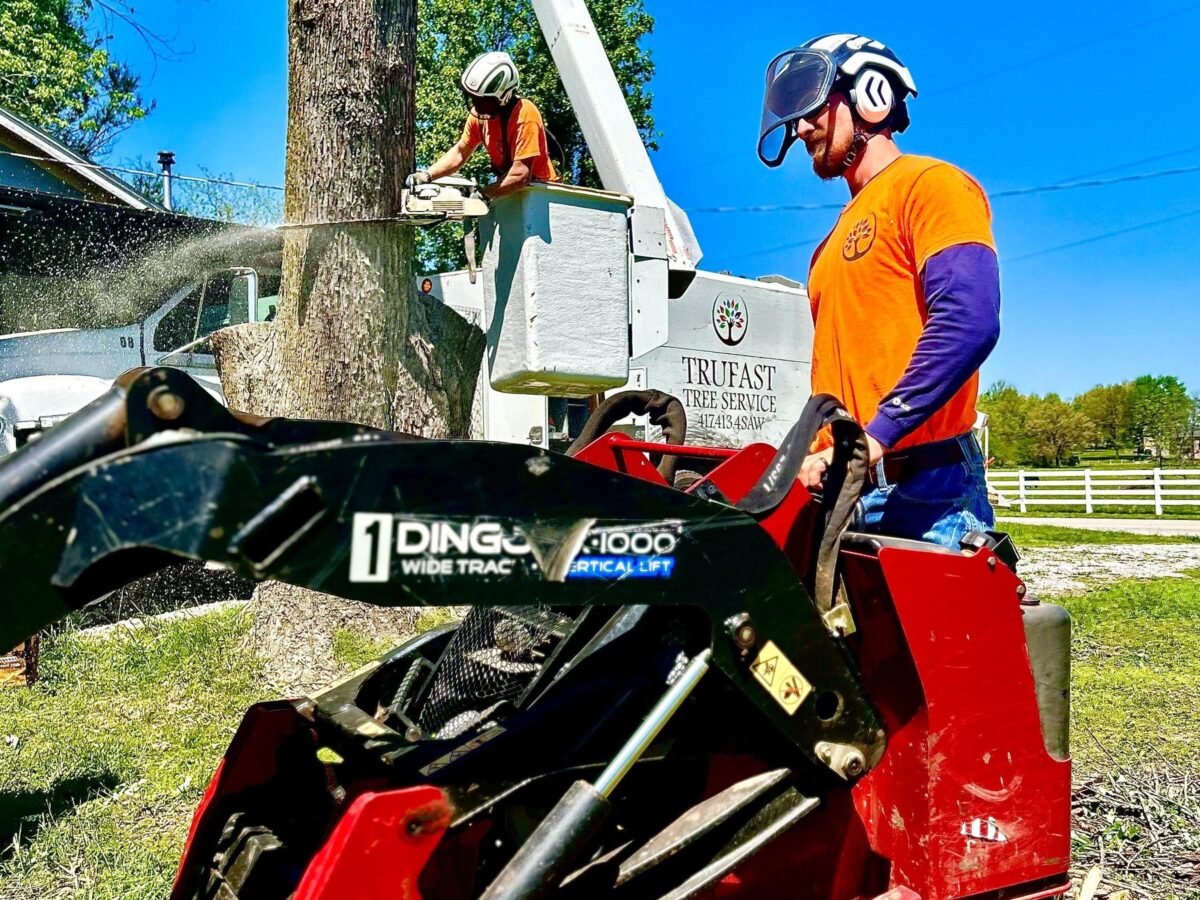 A Trufast crew member at the controls of a compact loader while a bucket-truck climber cuts down the trunk behind him, sawdust flying