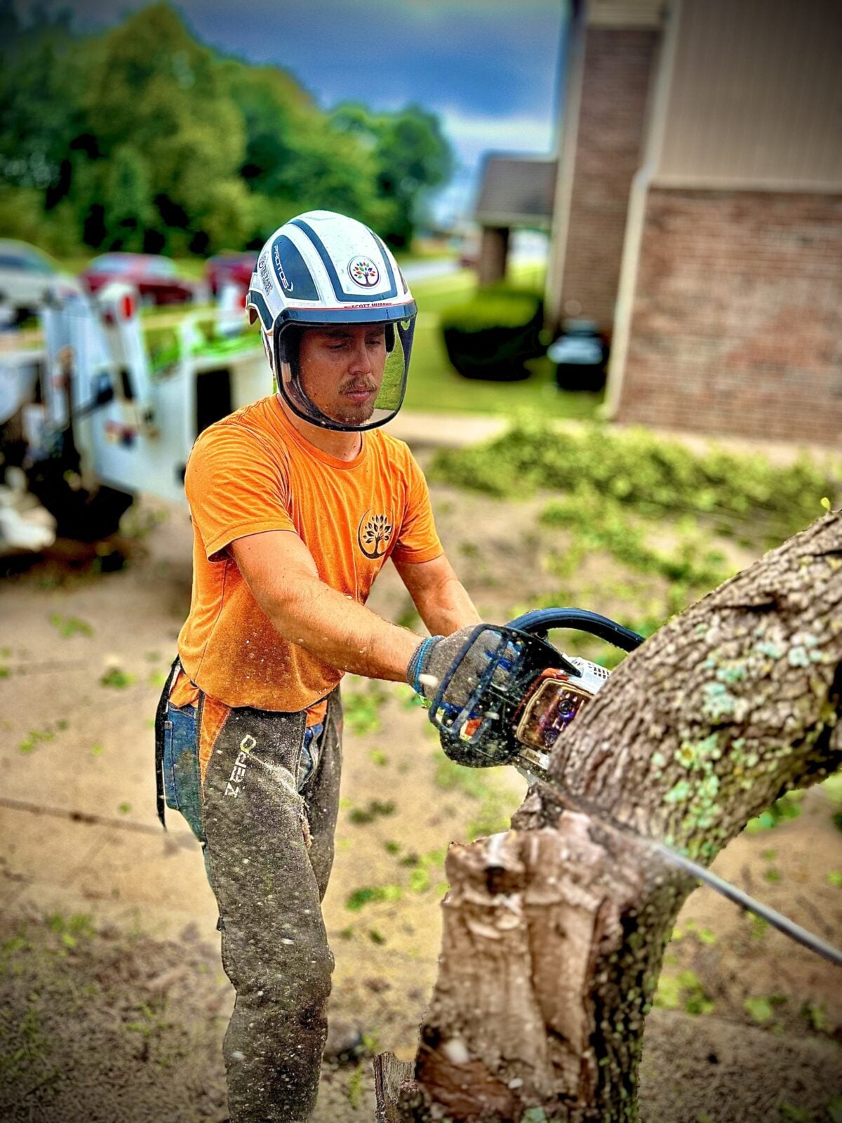 Trufast crew member in a helmet and face shield cutting through a tree trunk with a chainsaw