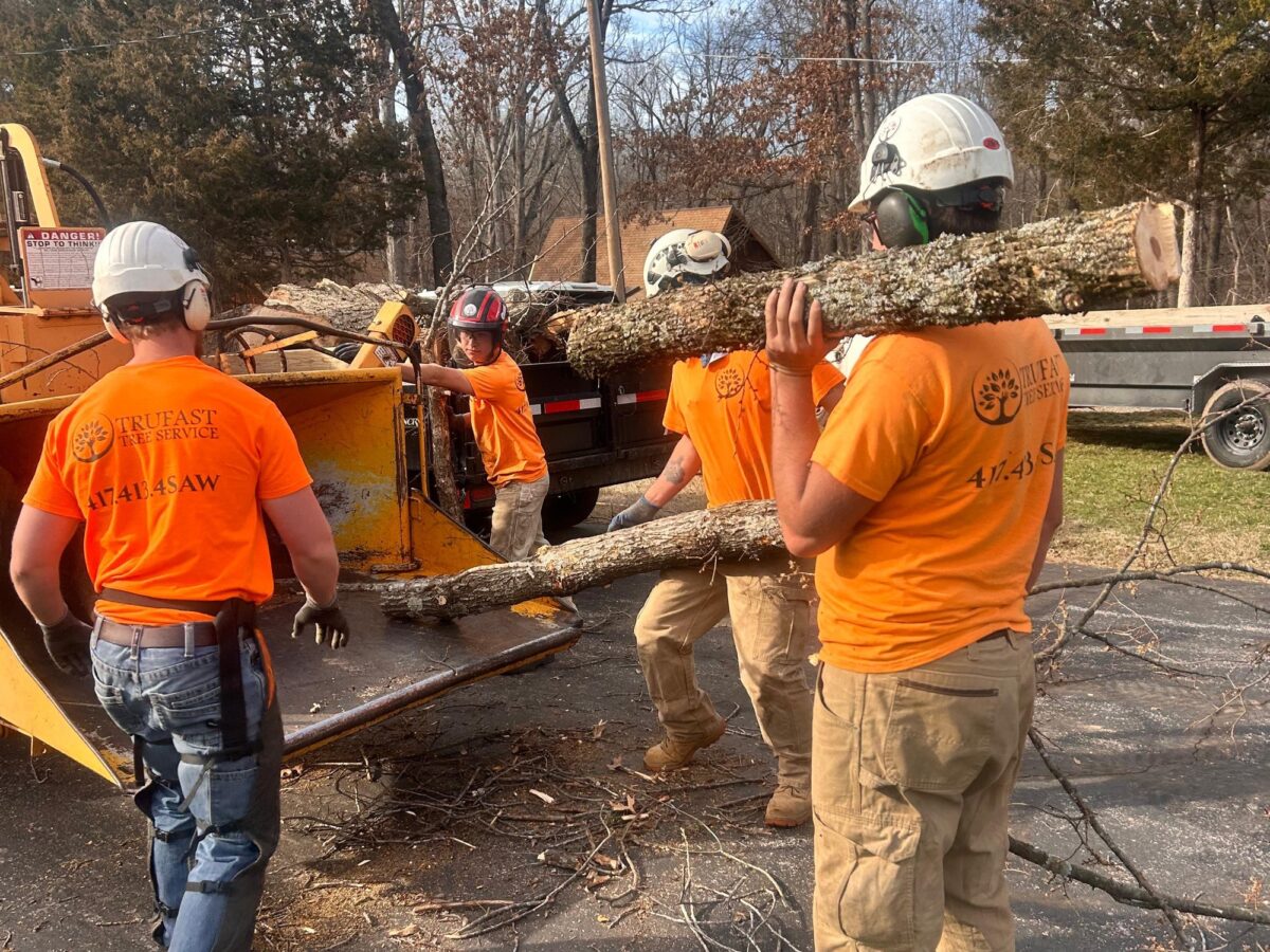 Four Trufast crew in helmets carrying limbs to the chipper and feeding it at the curb