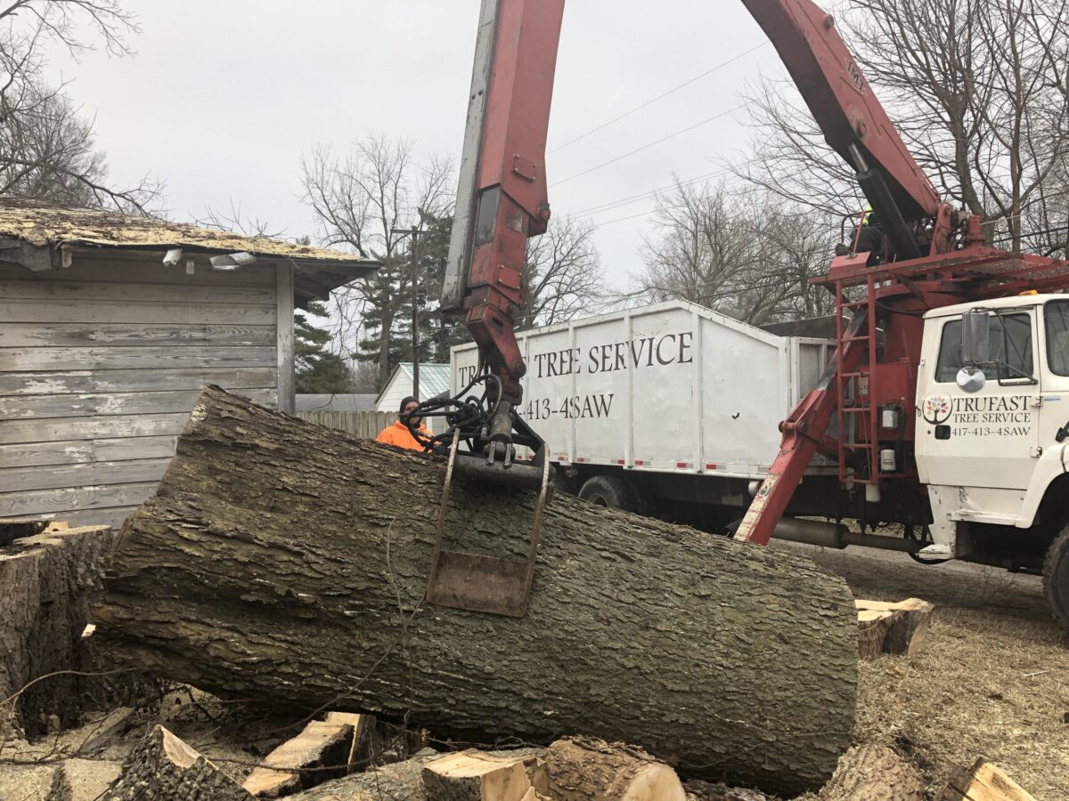 The Trufast grapple truck lifting a huge cut trunk section beside the lettered dump truck.