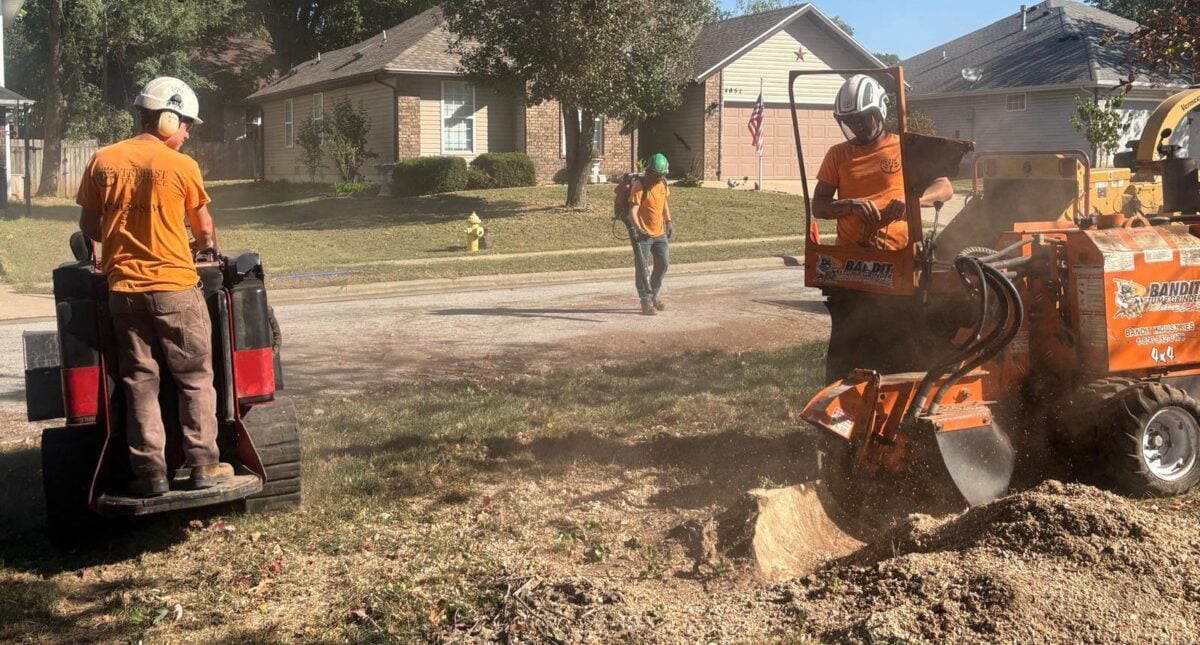 Three crew members working a stump grinding job on a residential street, one running the grinder at the right with chips flying, one on a tracked loader at the left and one walking with a backpack blower.
