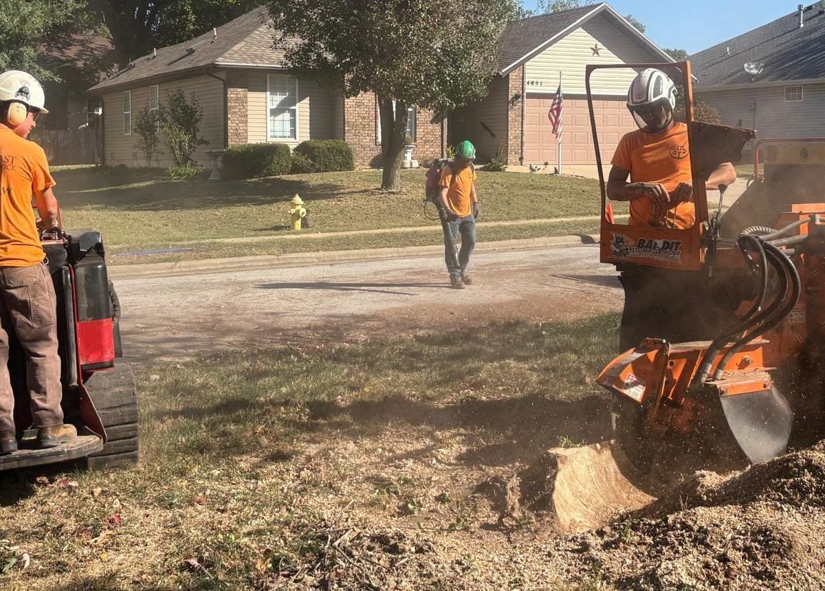 Three crew members working a stump grinding job on a residential street, one running the grinder at the right with chips flying, one on a tracked loader at the left and one walking with a backpack blower.