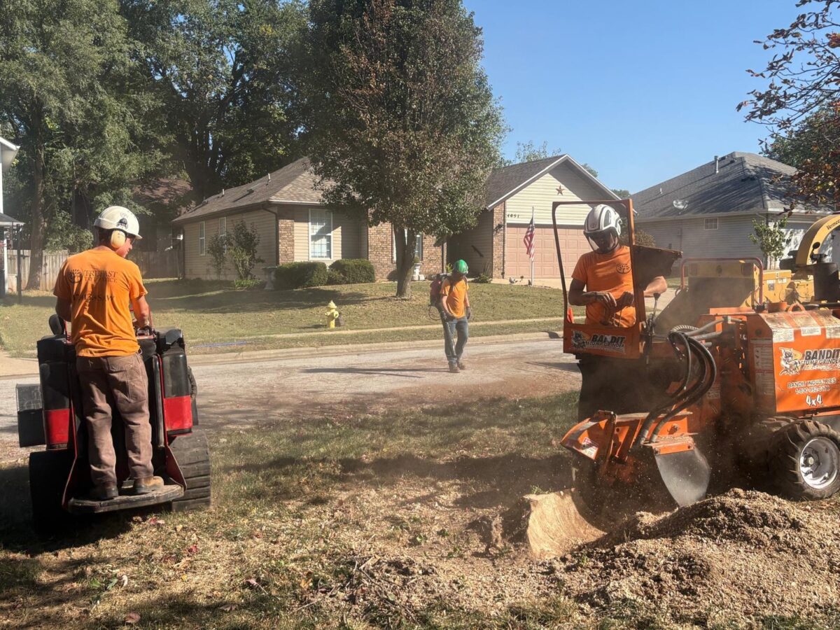 A Trufast crew member grinding a stump with a Bandit grinder while a second runs a compact loader and a third blows debris off the street.