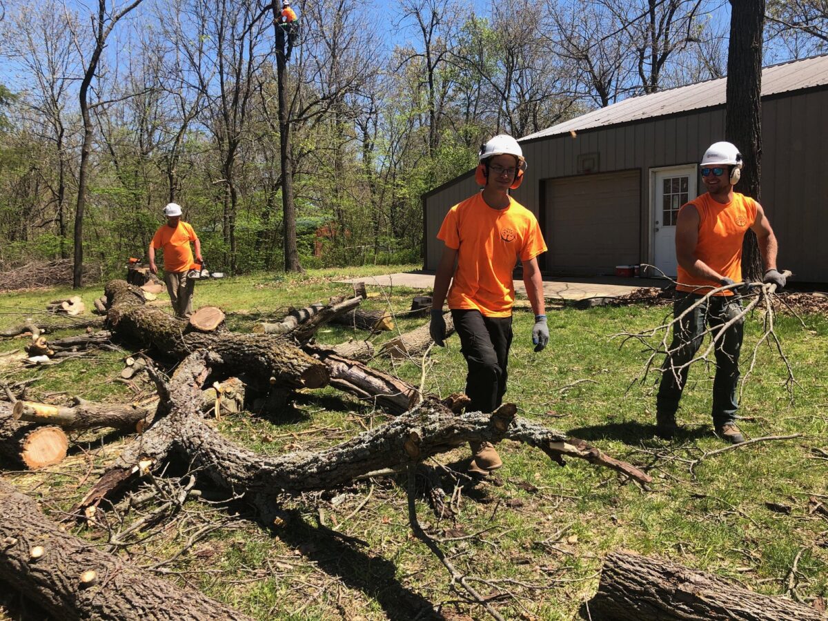 Three smiling Trufast crew hauling brush across a yard of cut limbs while a climber works high in a tree behind them