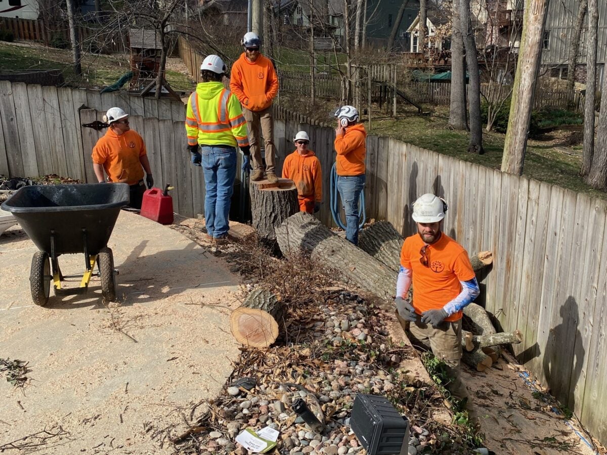 Six Trufast crew in helmets and hi-vis working a tree removal in a narrow backyard between a fence and a driveway
