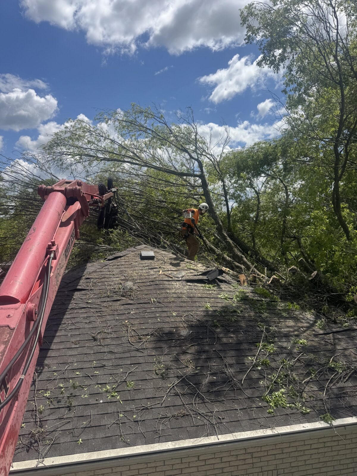 Trufast crew member on a roof cutting apart a storm-fallen tree while a grapple crane reaches in to lift the pieces