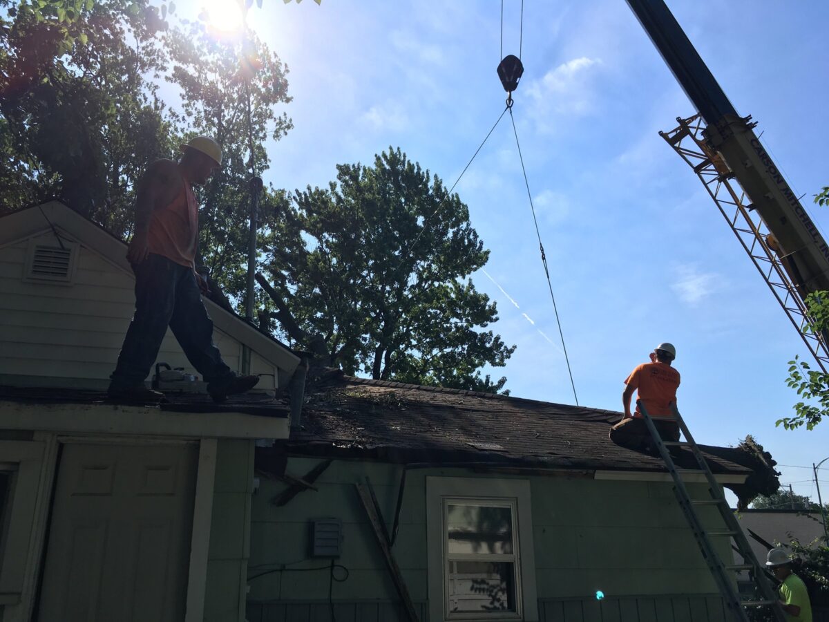 Trufast crew on a damaged roof rigging a tree for a crane pick, the crane hook overhead and a ladder up the side of the house.