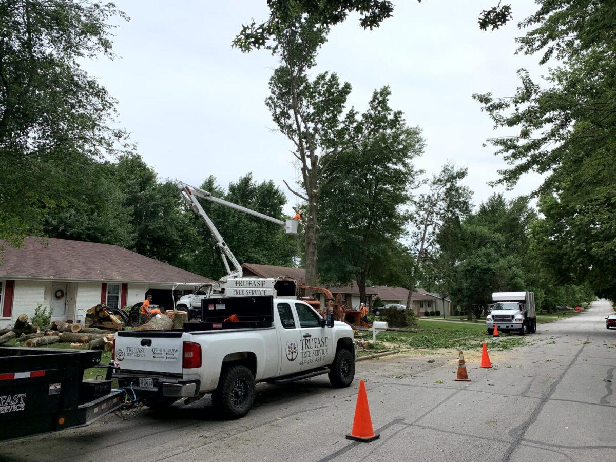 A lettered Trufast pickup and trailer parked behind safety cones on a residential street while a bucket truck works a tree.