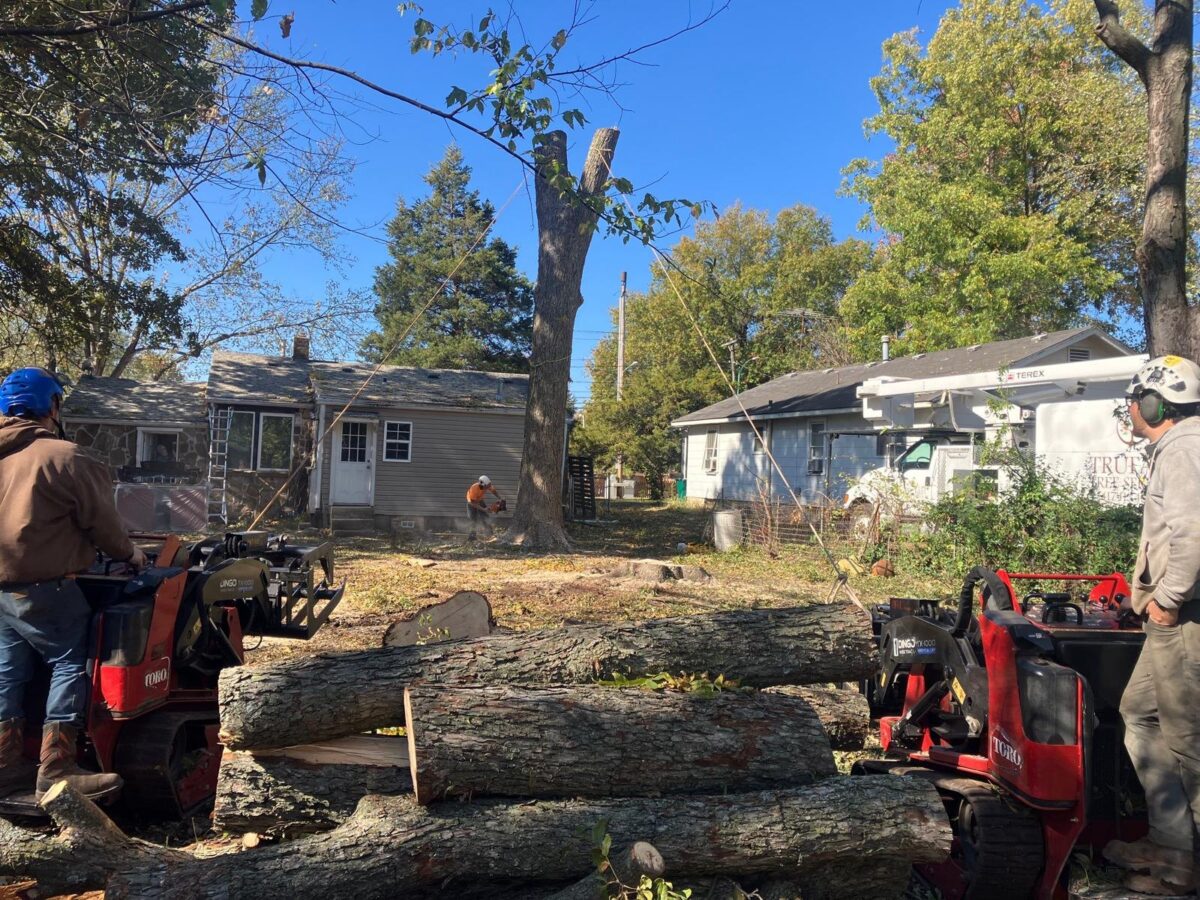 Two Trufast crew members on compact loaders stacking big logs from a removal beside a house.
