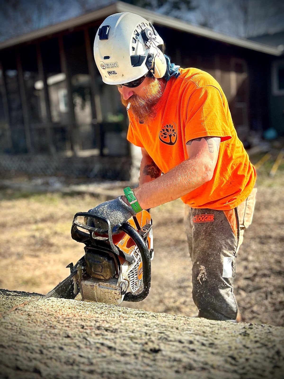 Jory Wailes, Trufast crew, cutting into a large log with a chainsaw